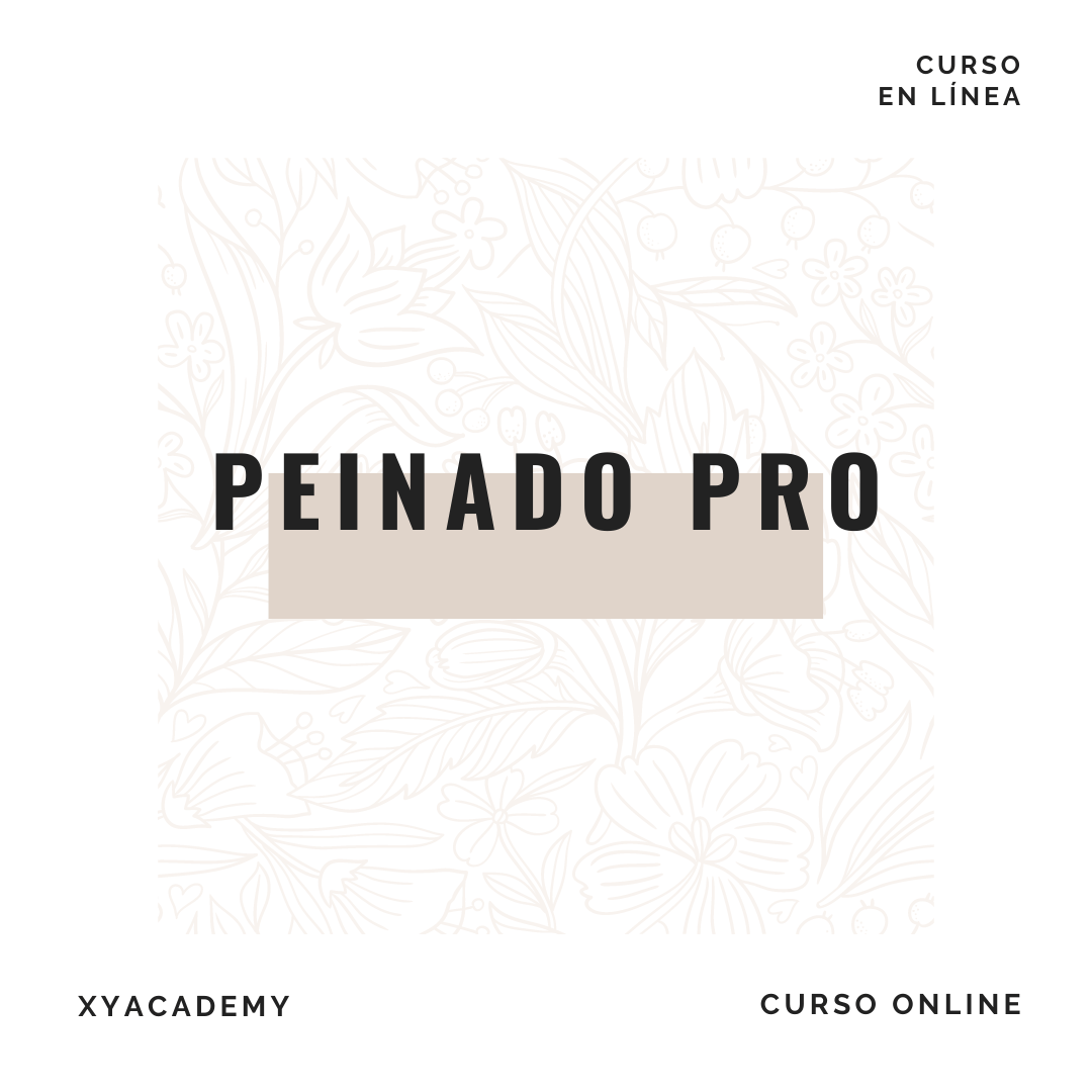 Curso de Peinado Pro (online) - XY STUDIO Hair & Makeup Studio